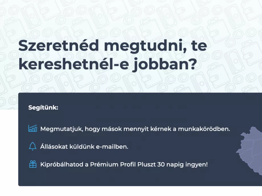 Rendhagyó módon kampányol a transzparens bérek mellett a Profession.hu