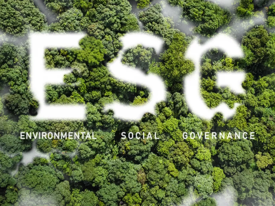 Az ESG-megfelelőséggel profitnövekedést érhetnek el a szervezetek