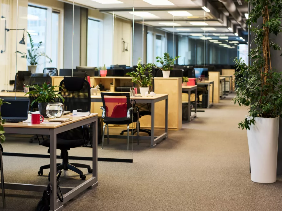 A coworking nem csak a szabadúszók terepe többé: így nyernek teret a nagyvállalatok is