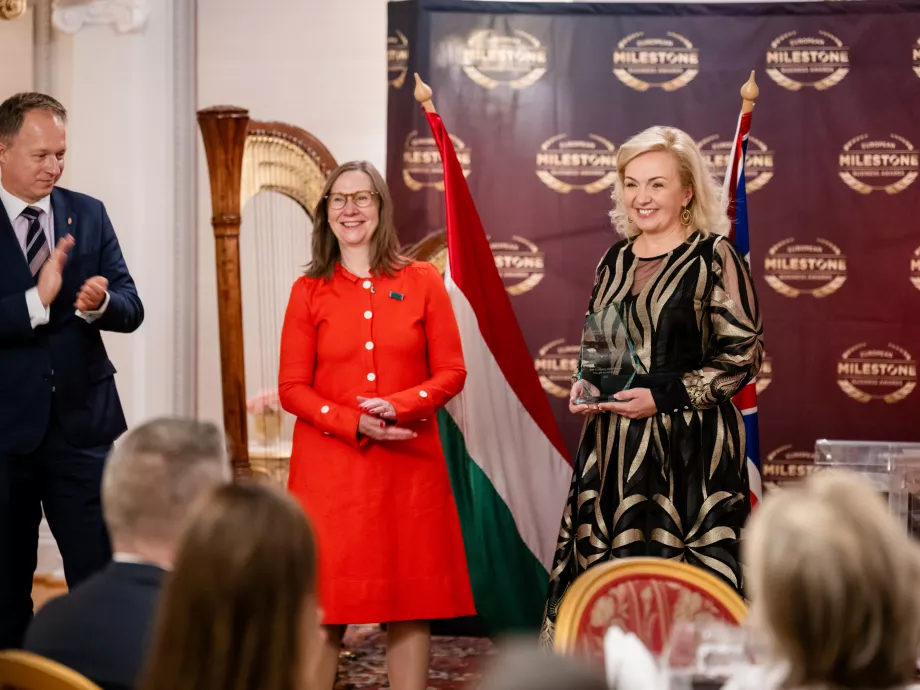 Magyar ERP szakember európai díjat nyert