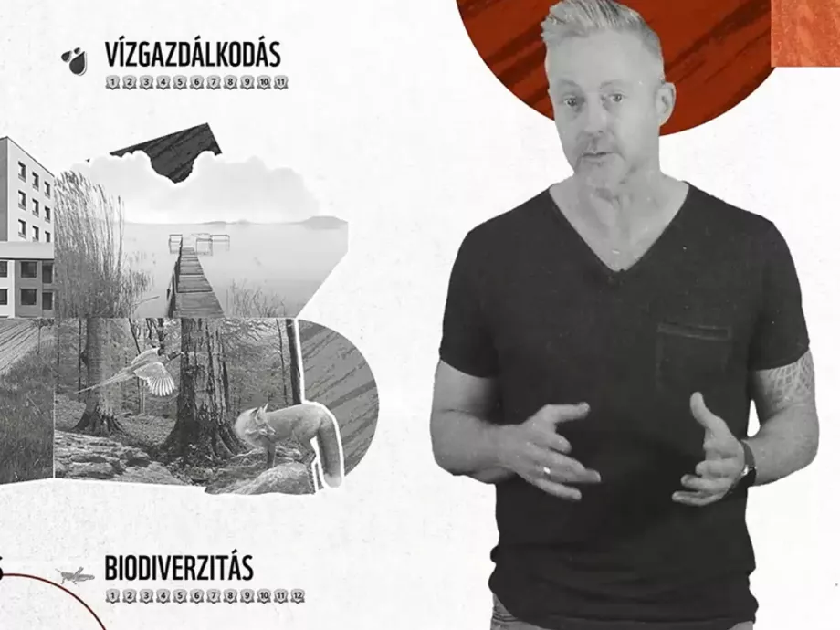 Green Academy: új szín a fenntarthatóság vállalati oktatásában